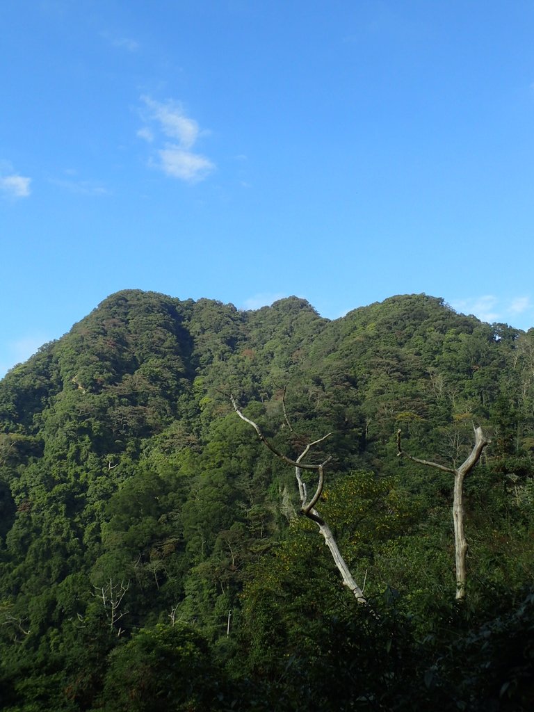 PC010646.JPG - 獅潭  仙山