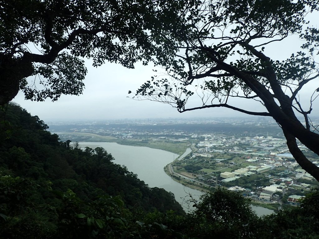 P2168036.JPG - 三峽  鳶山  (福德坑山)