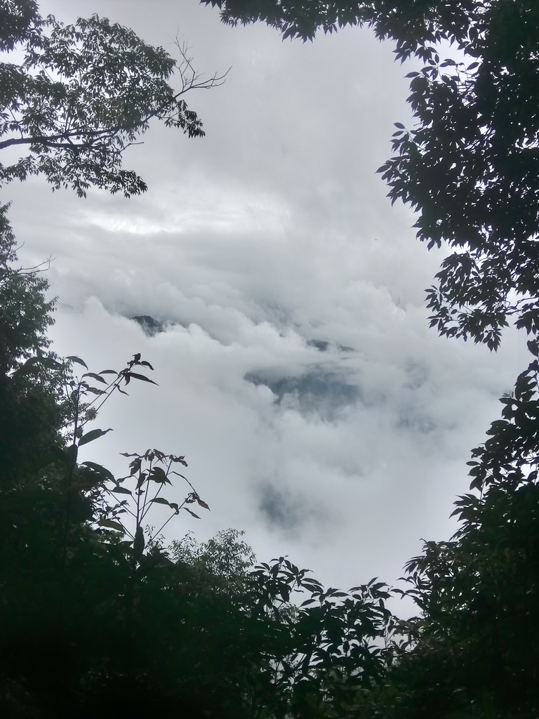 DSC_1279.JPG - 石壁山  嘉南雲峰步道