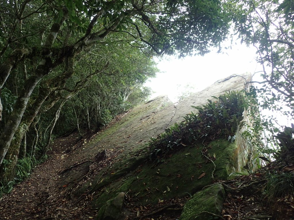 PA231717.JPG - 石壁山  嘉南雲峰步道