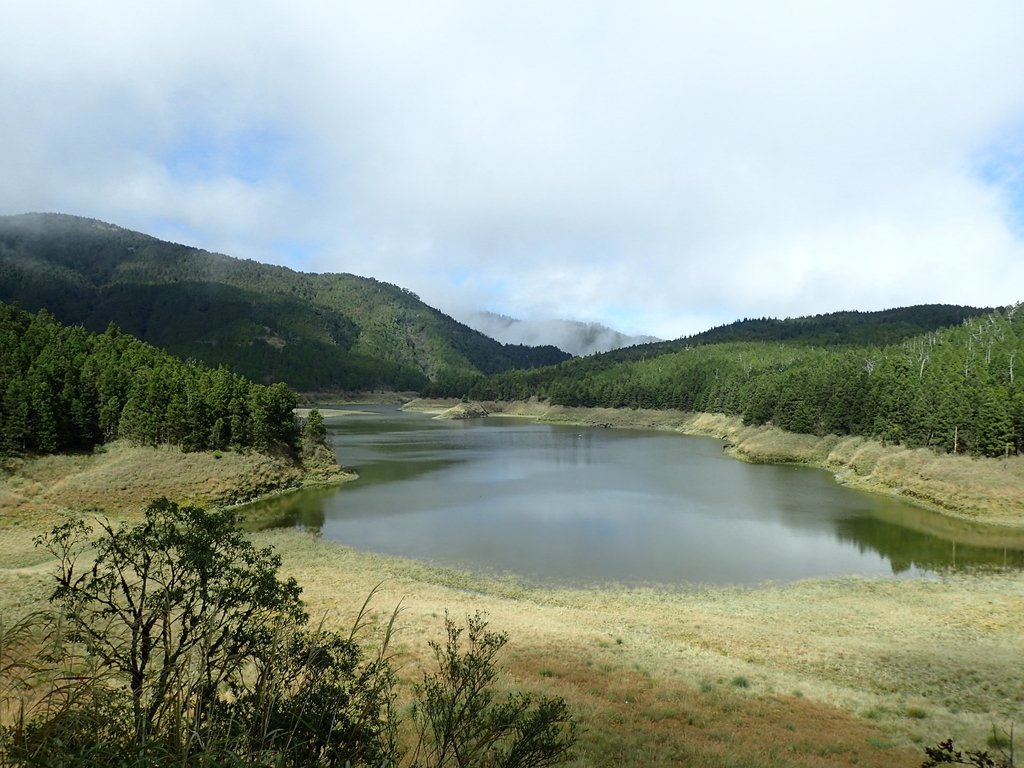 PB265378.JPG - 太平山  翠峰湖環山步道  02