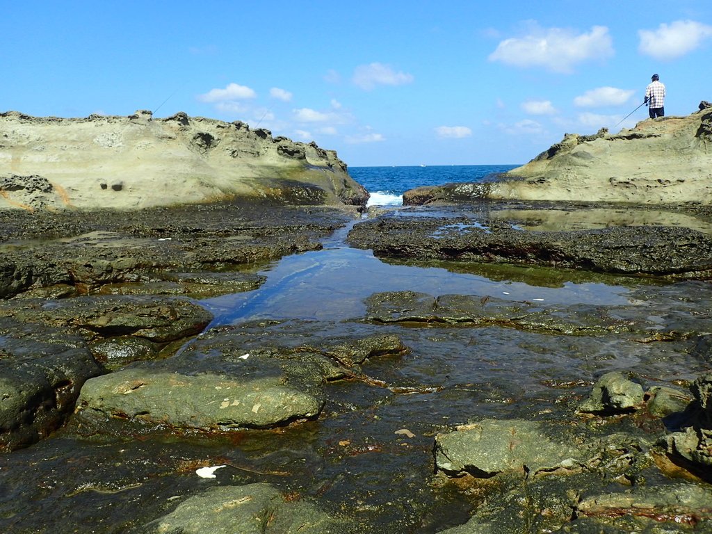 PA115045.JPG - 東北角海岸岩石之美  (03)