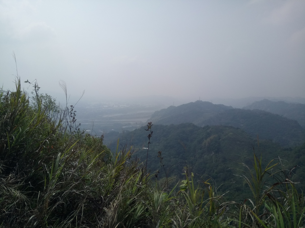 DSC_7365.JPG - 草屯平林  九九峰森林步道