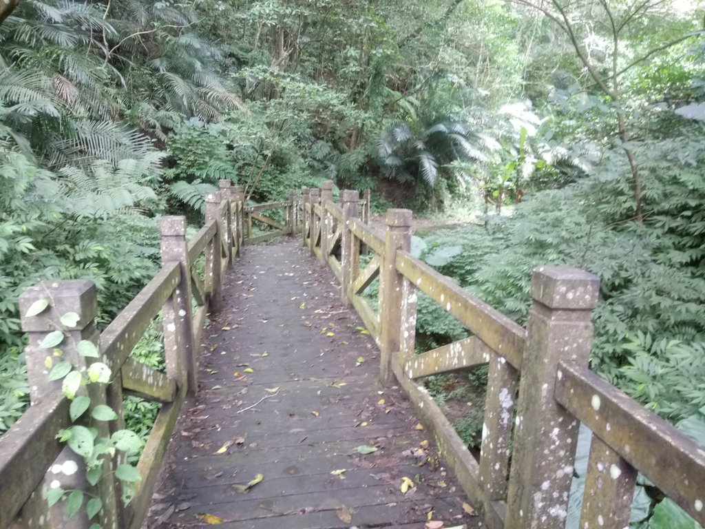 DSC_5992.JPG - 深坑  土庫岳登山步道  (01)