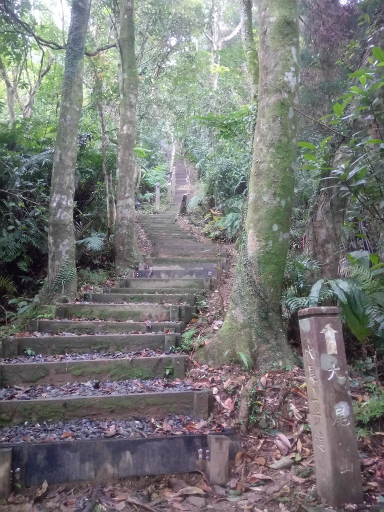 DSC_7165.JPG - 坪林  鬼子賴尖山