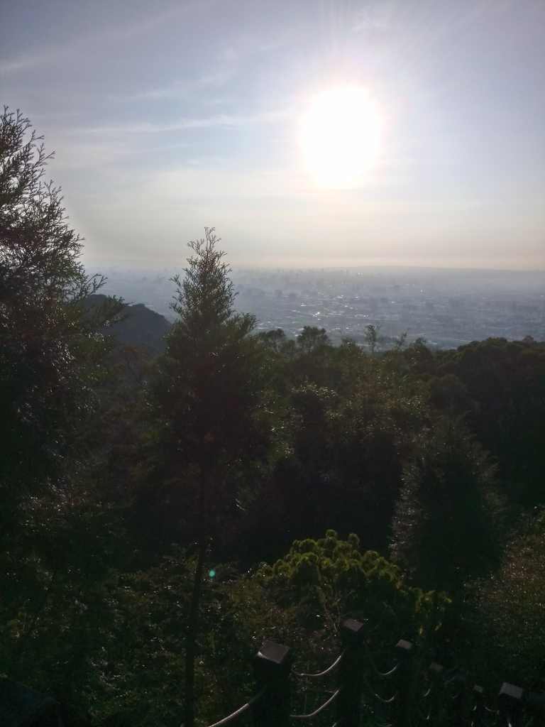 DSC_0704.JPG - 潭子 聚興山  新田登山步道