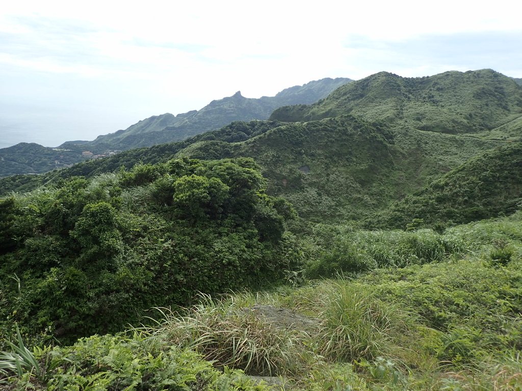 P6090243.JPG - 瑞芳  小金瓜山露頭