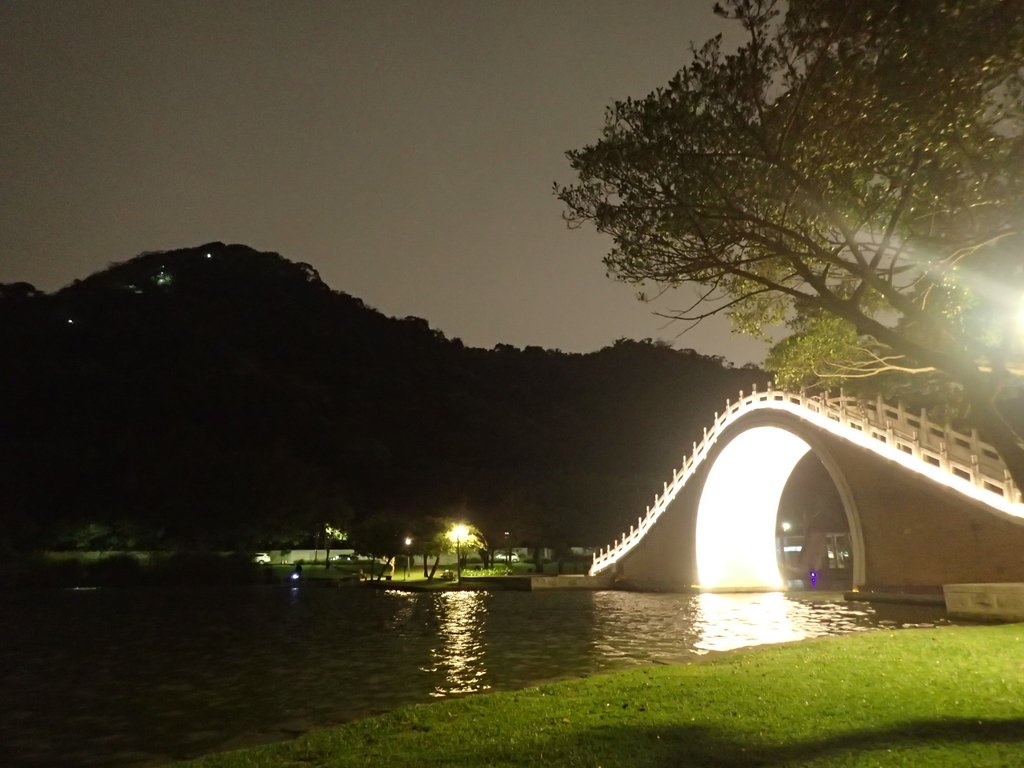 P3116990.JPG - 內湖  大湖公園之夜色