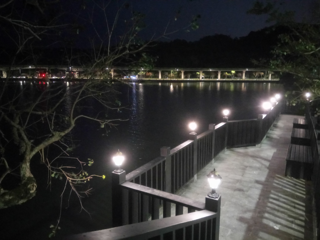 DSC_9306.JPG - 內湖  大湖公園之夜色