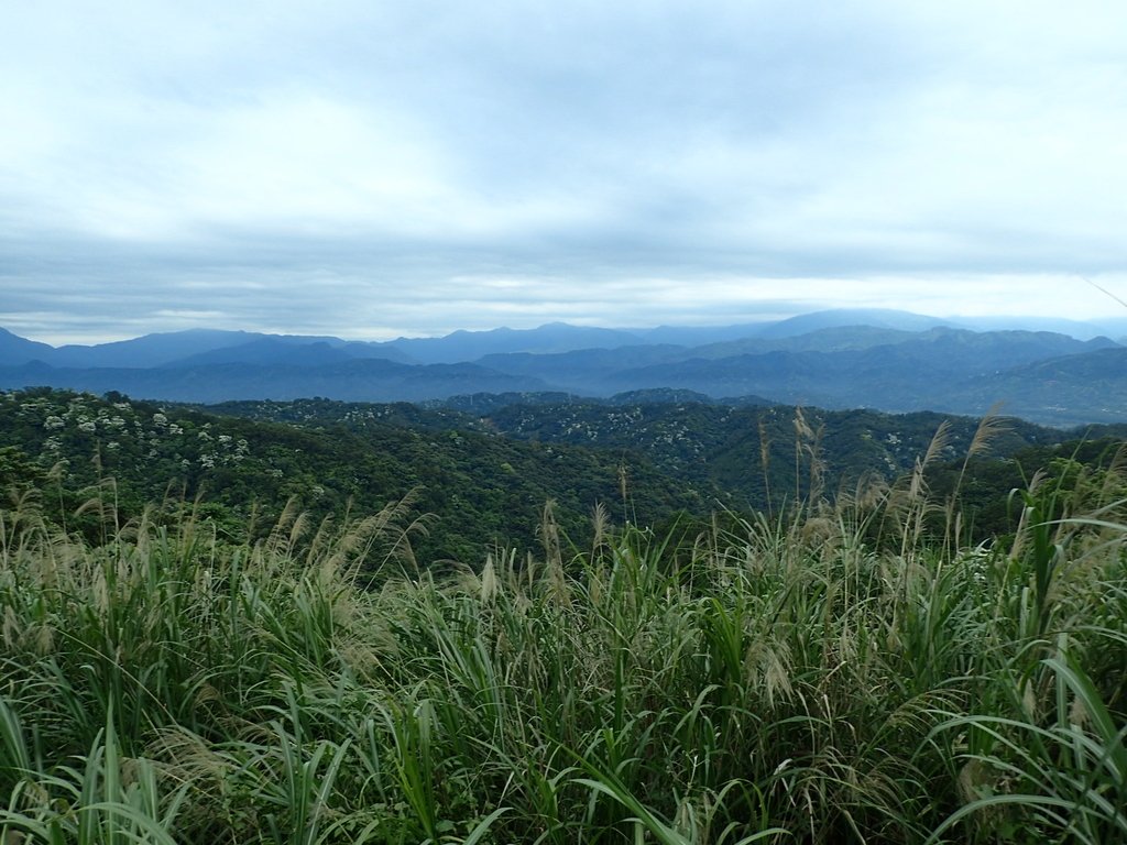 P4272141.JPG - 芎林  飛鳳山  (中坑山)