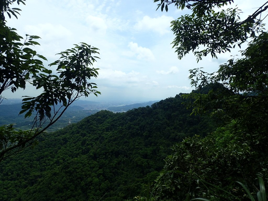 P7025042.JPG - 大溪  金面山登山步道