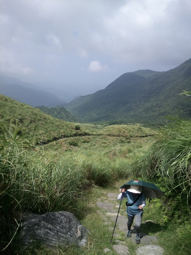 DSC_8652.JPG - 再訪  金包里大道  (魚路古道)