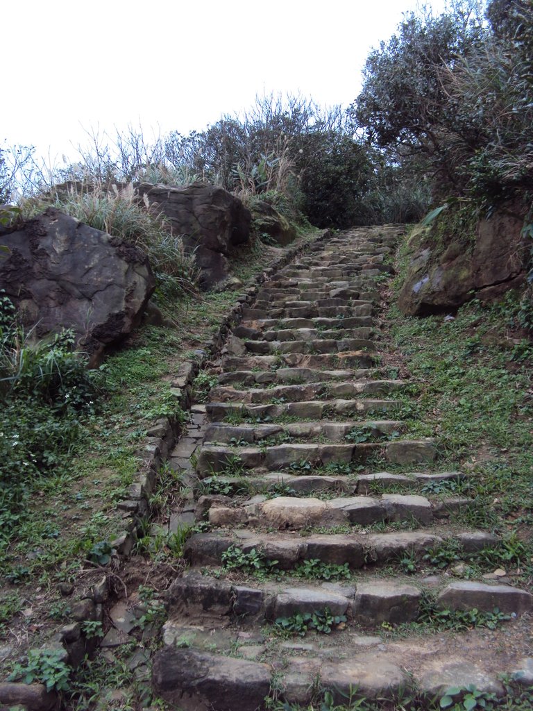 DSC06248.JPG - 瑞芳  南子吝步道