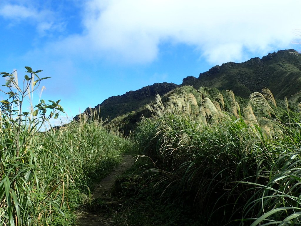 P1102351.JPG - 半坪山  無耳茶壺山