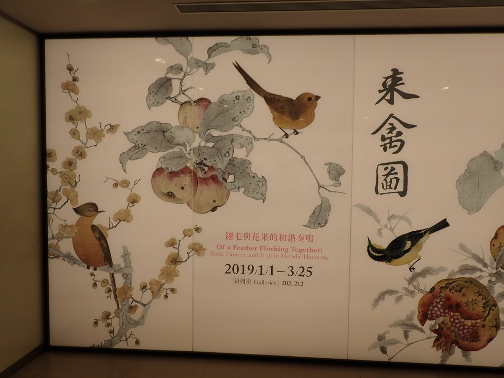 P1173102.JPG - 故宮 來禽圖特展