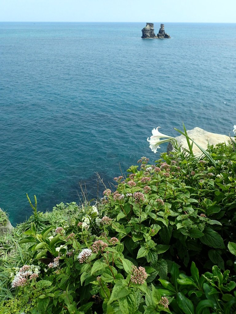 P5056576.JPG - 金山  燭臺雙ˊ峙 神秘海岸