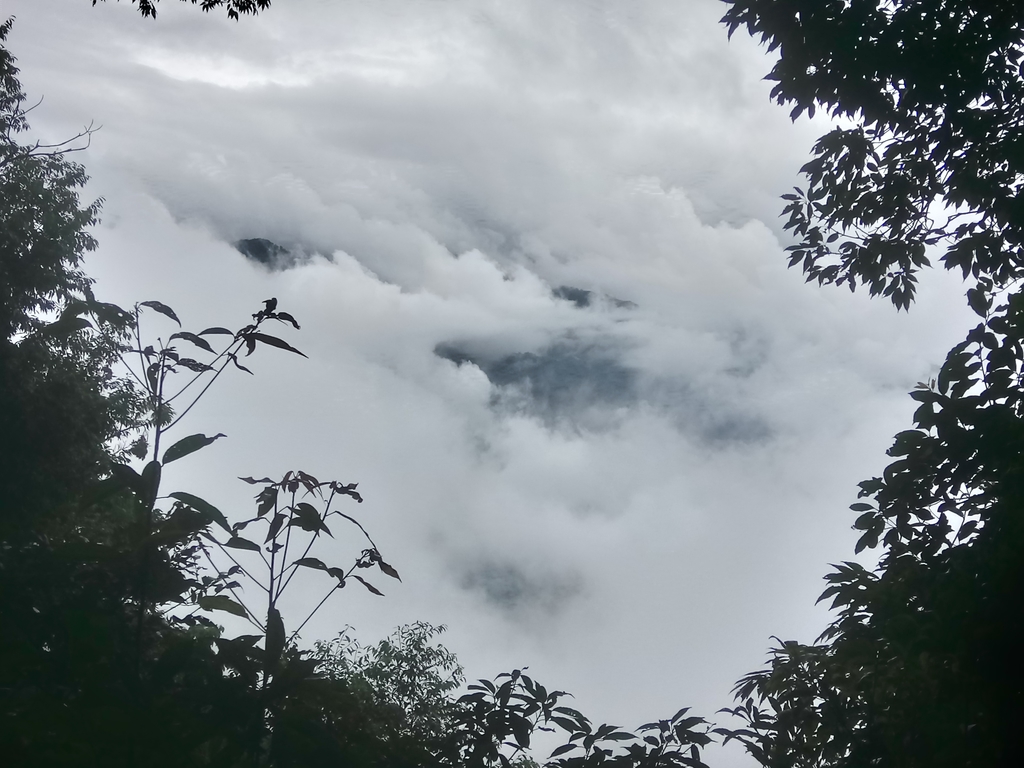 DSC_1280.JPG - 石壁山  嘉南雲峰步道