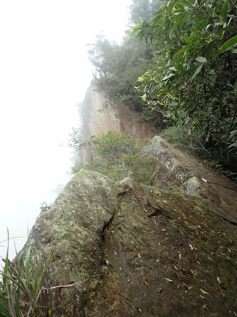 PA231719.JPG - 石壁山  嘉南雲峰步道