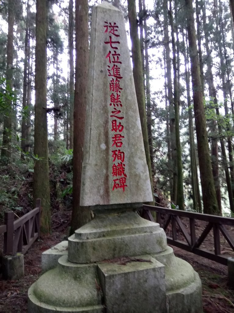 DSC_1552.JPG - 阿里山  二萬坪步道