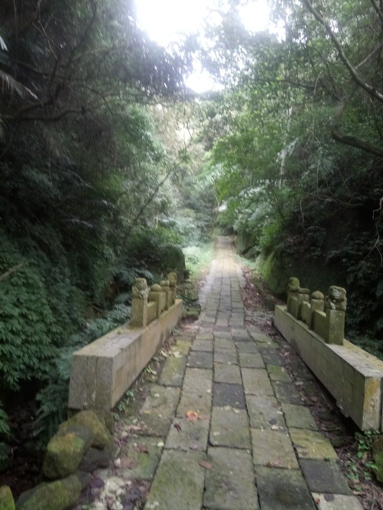 DSC_2785.JPG - 獅頭山  獅山古道  (02)