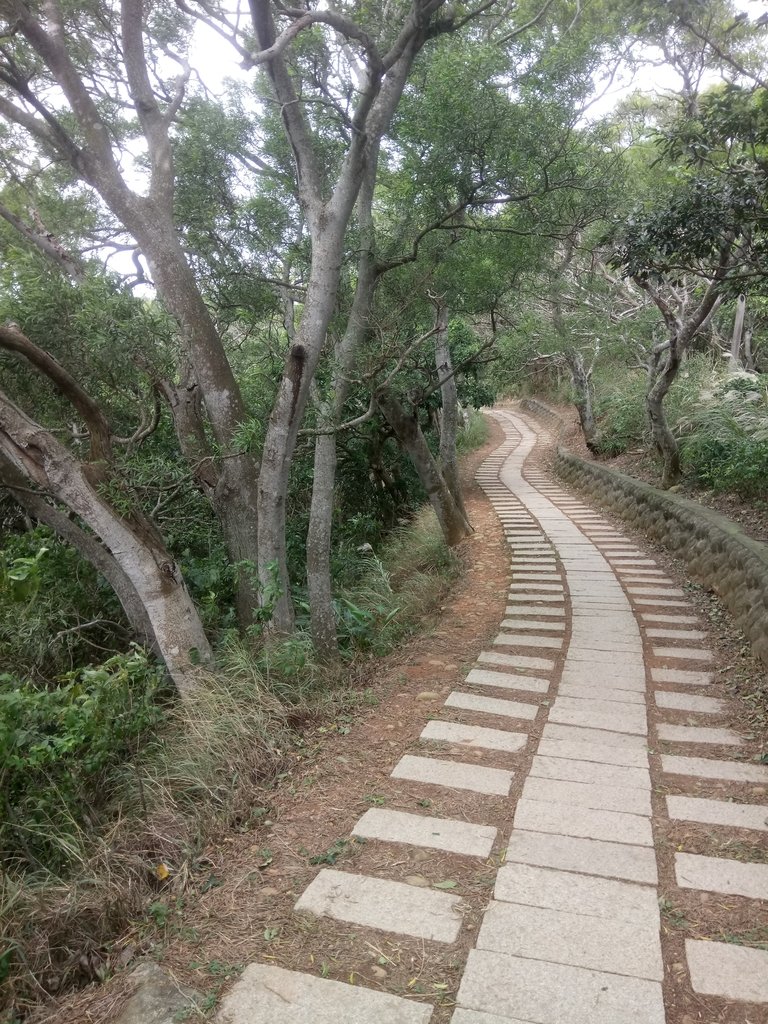 DSC_0903.JPG - 新豐  鳳崎落日步道