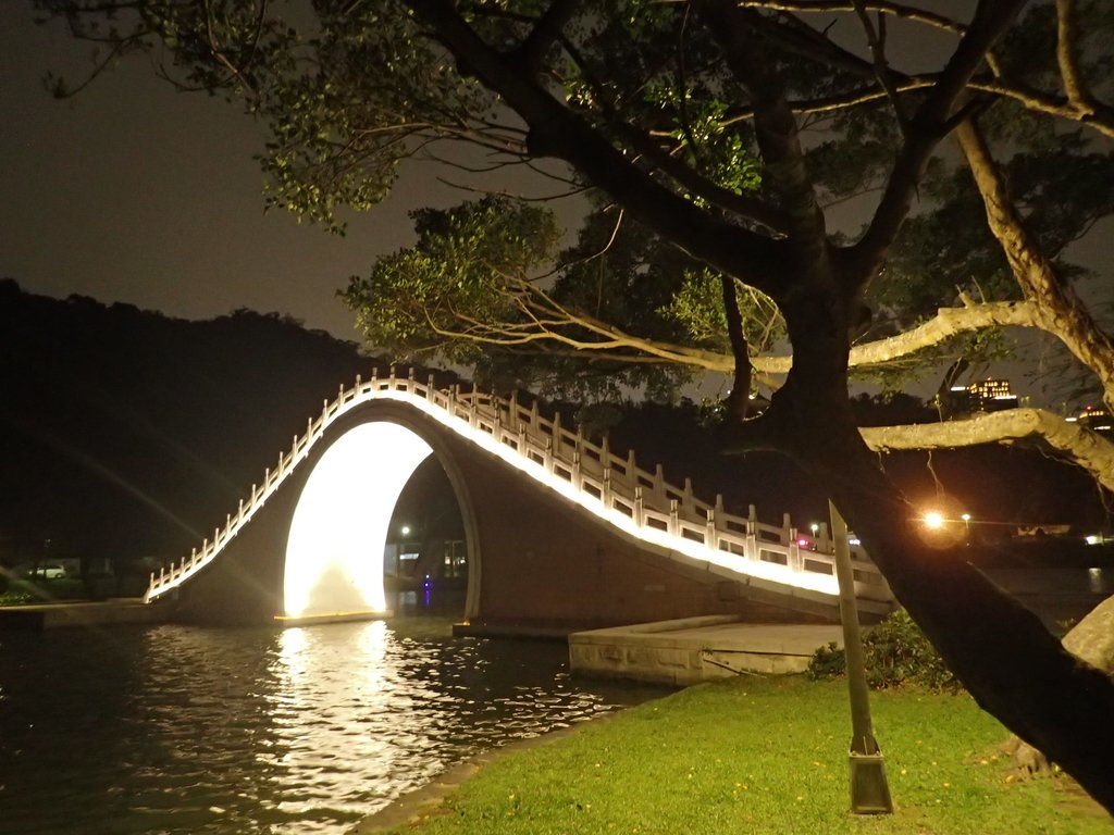 P3116991.JPG - 內湖  大湖公園之夜色