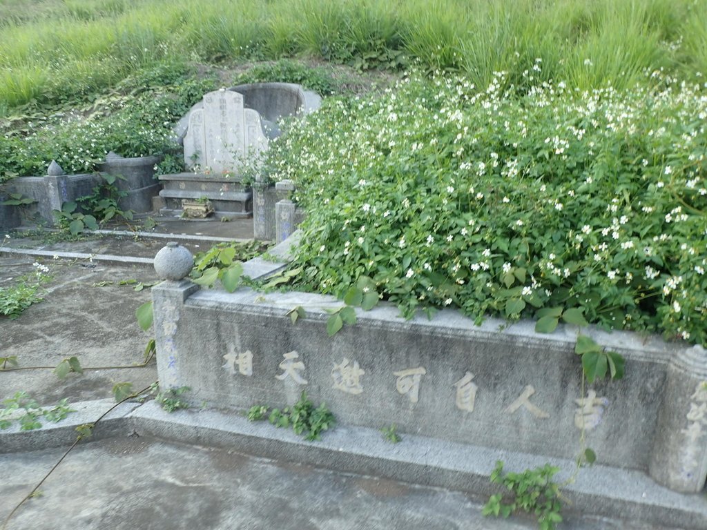 P5012475.JPG - 石岡 食水坑  曾氏陳林媽墓