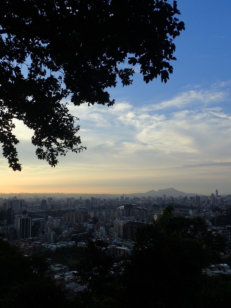 P9230032.JPG - 景美  仙跡岩親山步道