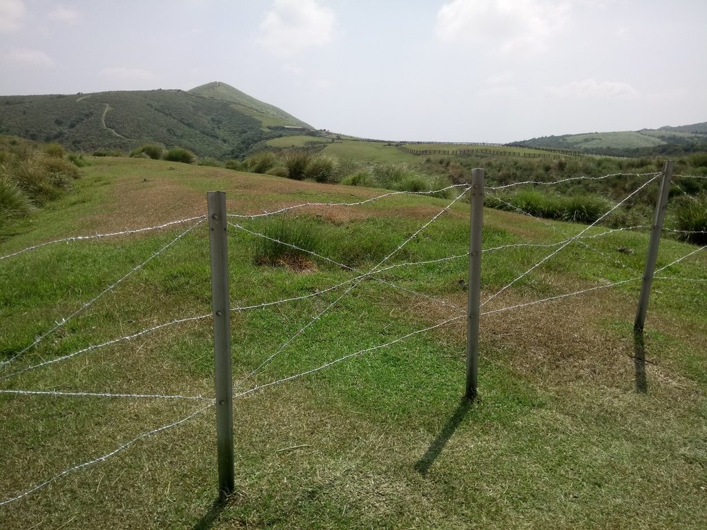 DSC_8660.JPG - 再訪  金包里大道  (魚路古道)