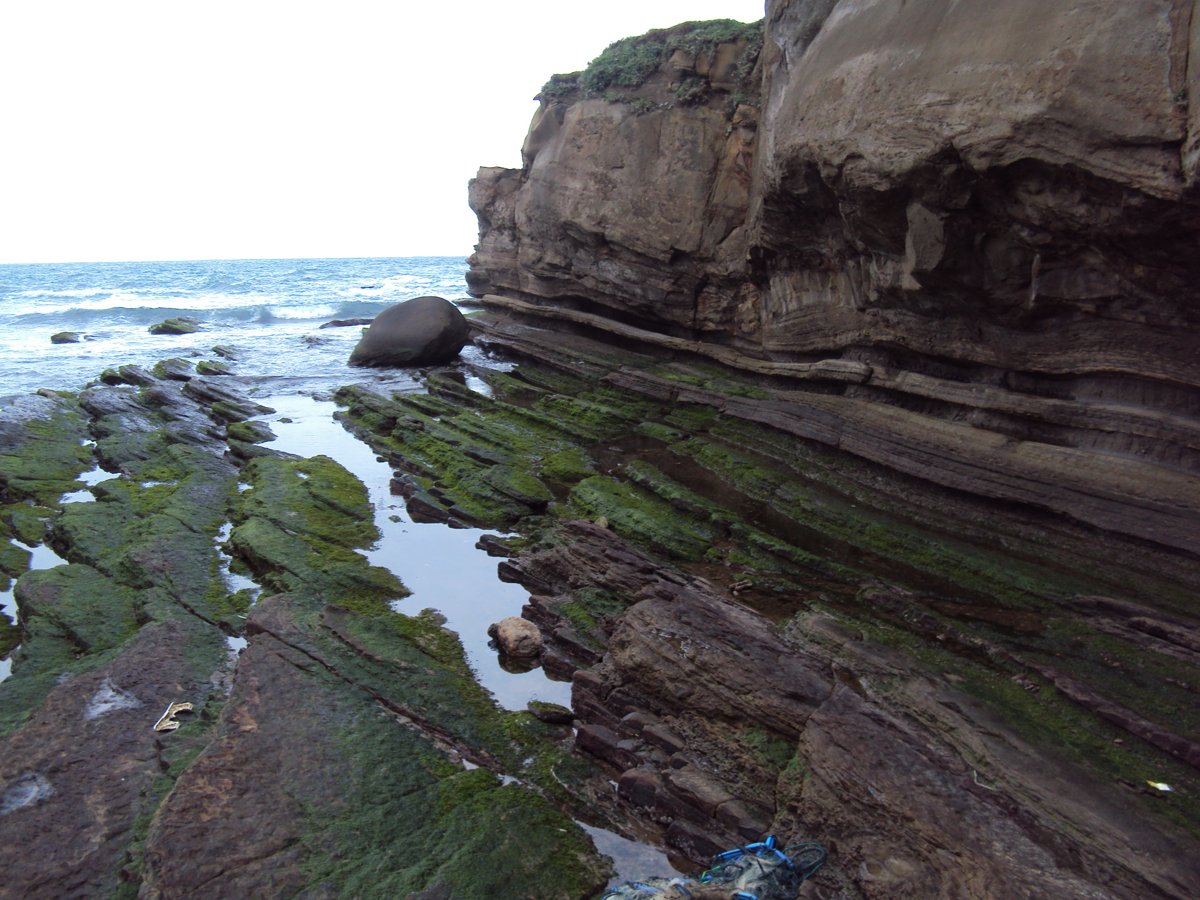 DSC06334.JPG - 瑞芳  南雅海岸岩石之美