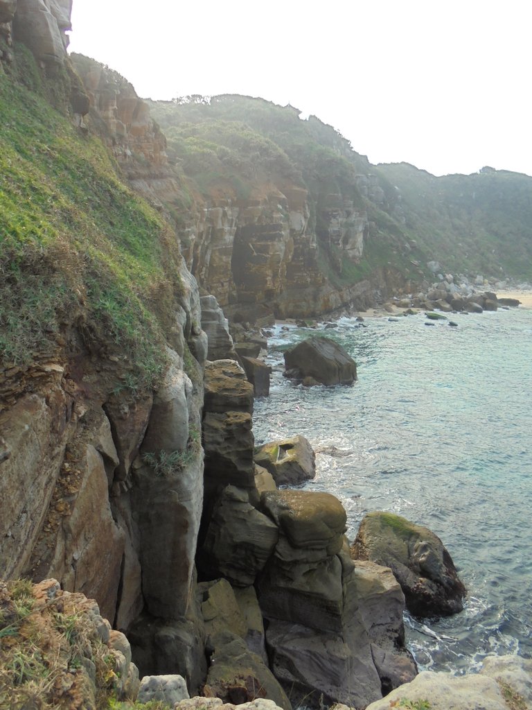 DSC01714.JPG - 金山  獅頭山  神秘海岸