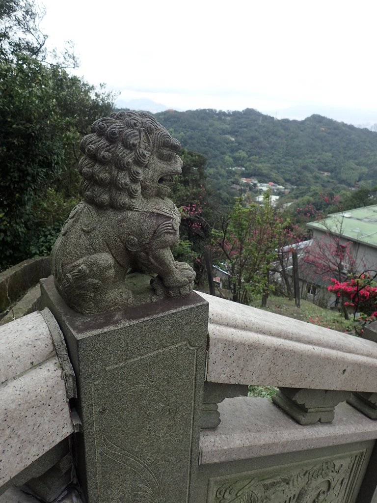 P2178169.JPG - 中和  南勢角山  (烘爐地)