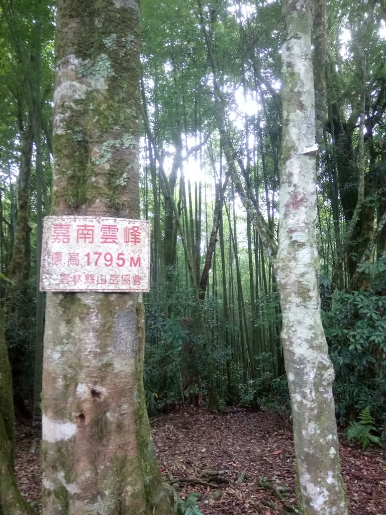 DSC_1284.JPG - 石壁山  嘉南雲峰步道