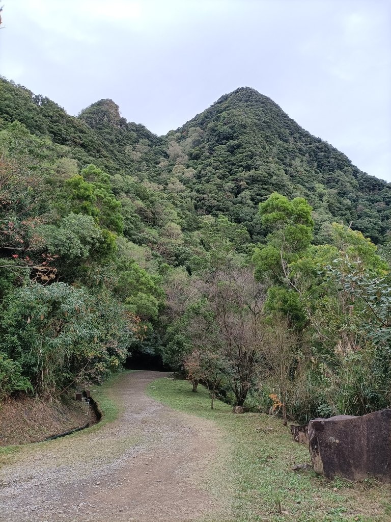 IMG20201215124413.jpg - 東眼山  東滿步道