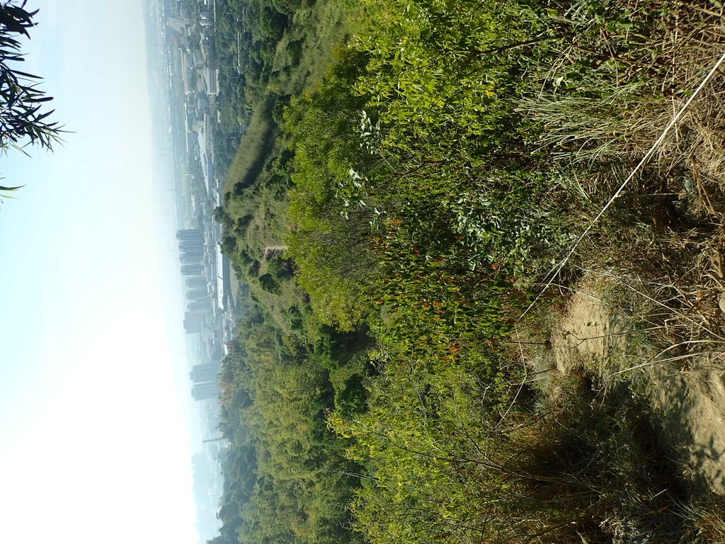 PA282040.JPG - 烏日  學田山登山步道