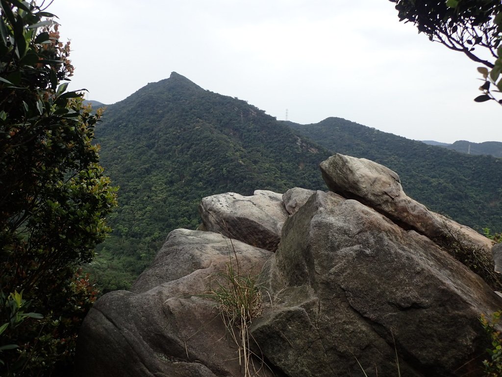 P3160149.JPG - 汐止  金面山(金明山)  稜線步道