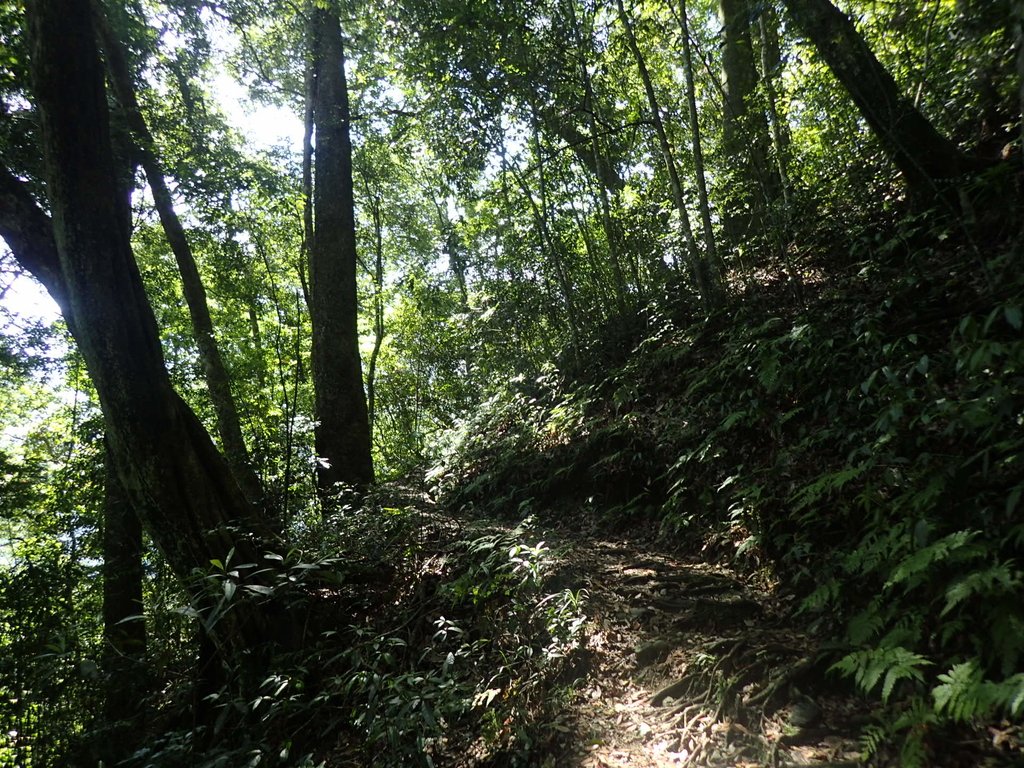 P6160584.JPG - 谷關七雄之  八仙山  (01)