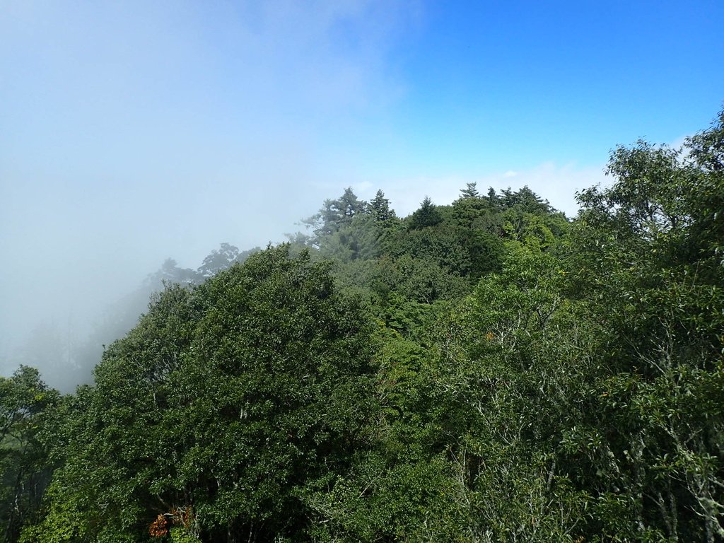 PA185648.JPG - 台中  和平  稍來山