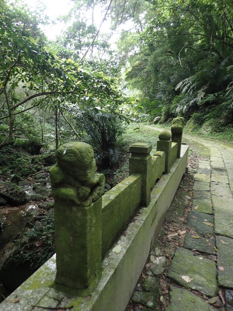 P1294438.JPG - 獅頭山  獅山古道  (01)