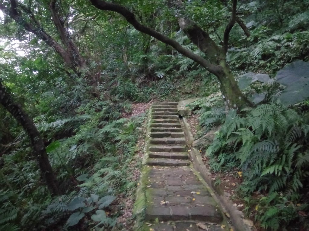 DSC_9250.JPG - 內湖  白鷺鷥山親山步道