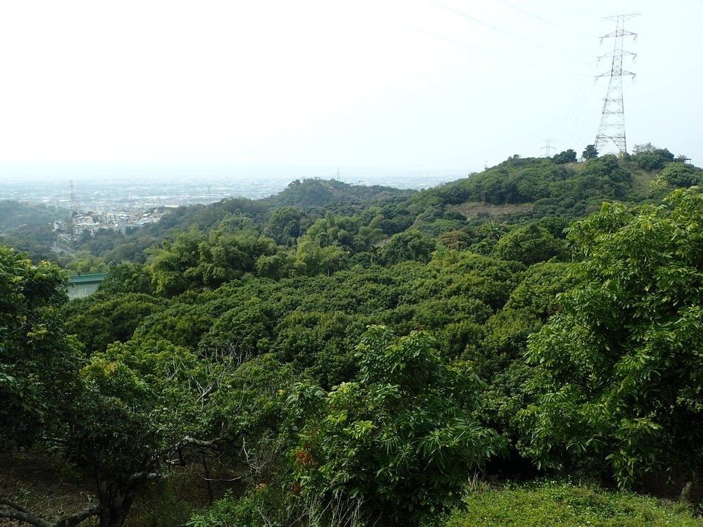 P2095076.JPG - 霧峰  阿罩霧山