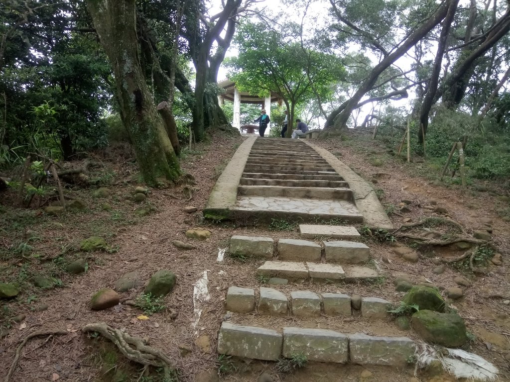 DSC_5886.JPG - 芎林  飛鳳山  (中坑山)