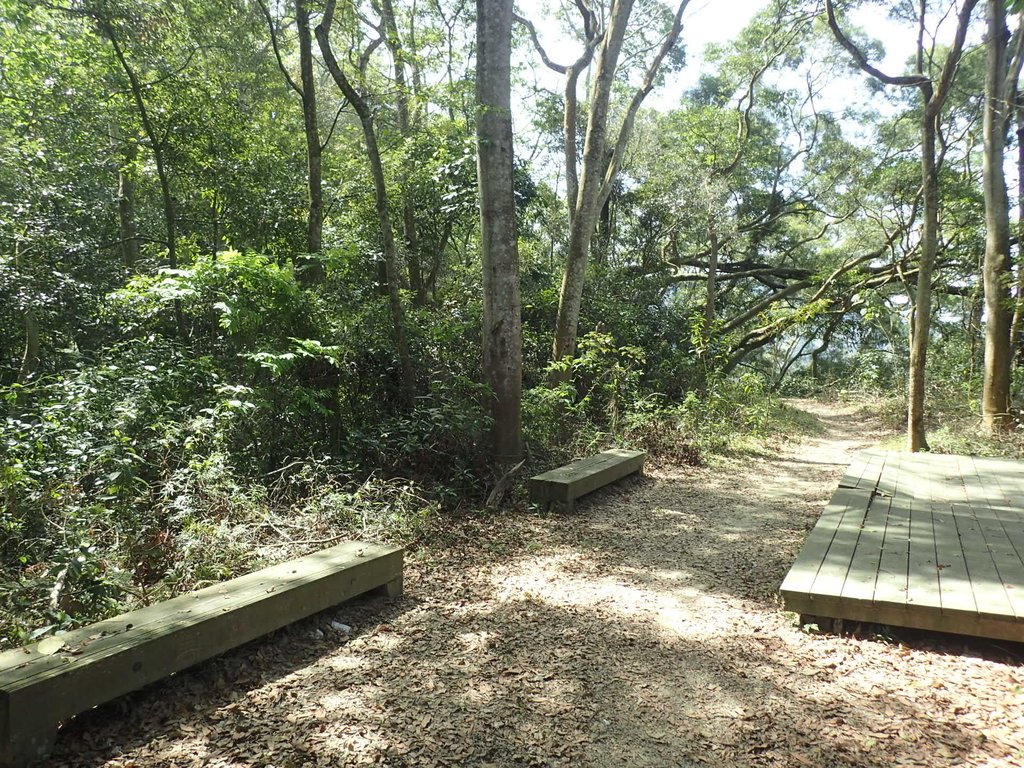 P4161411.JPG - 霧峰  青桐林生態園區