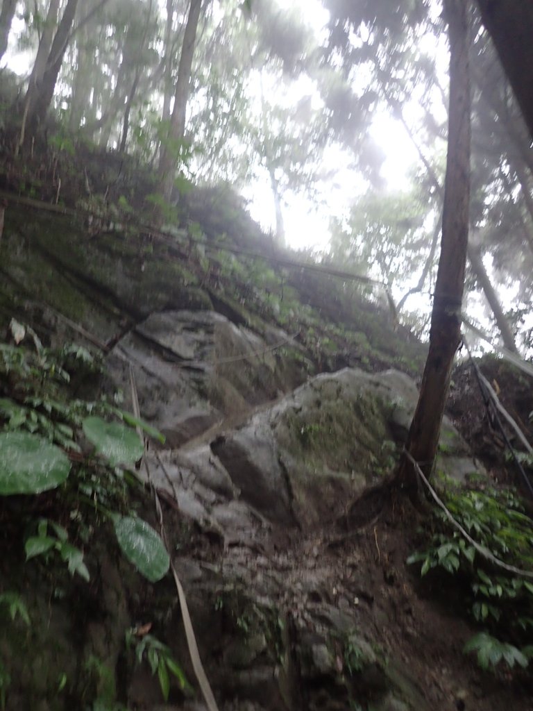 P9250234.JPG - 南庄  向天湖山  光天高山