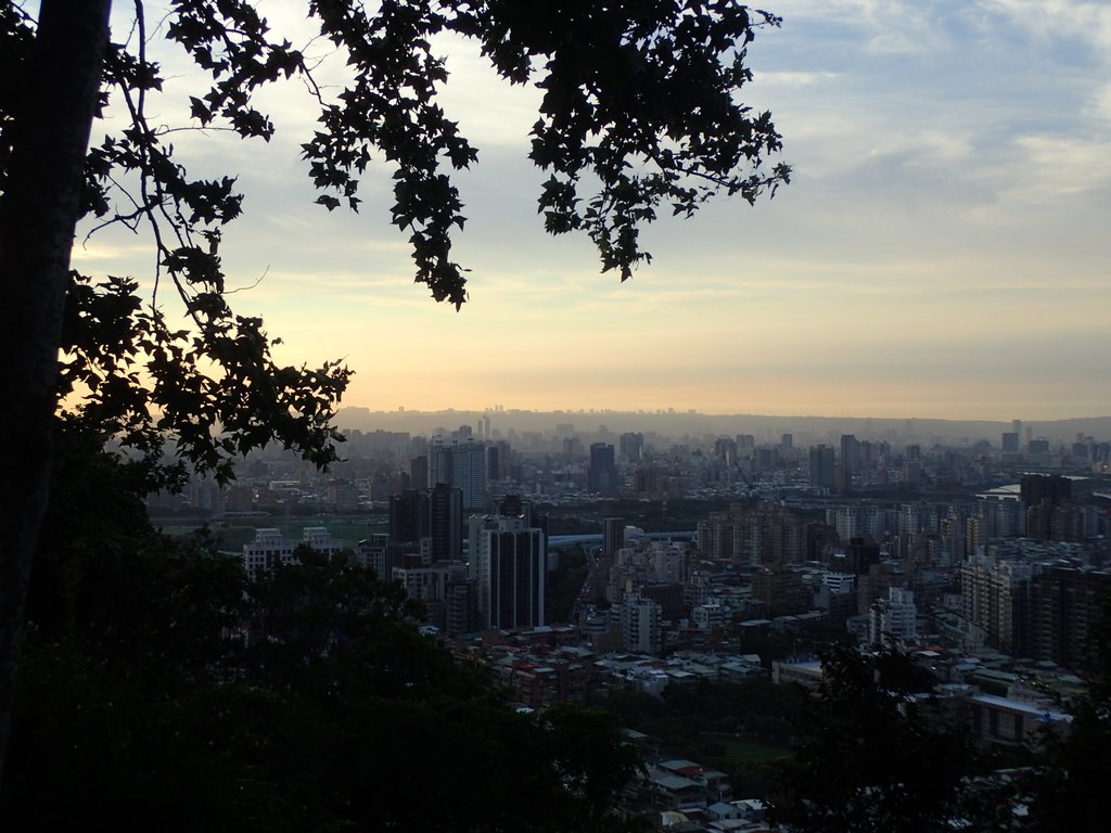 P9230034.JPG - 景美  仙跡岩親山步道