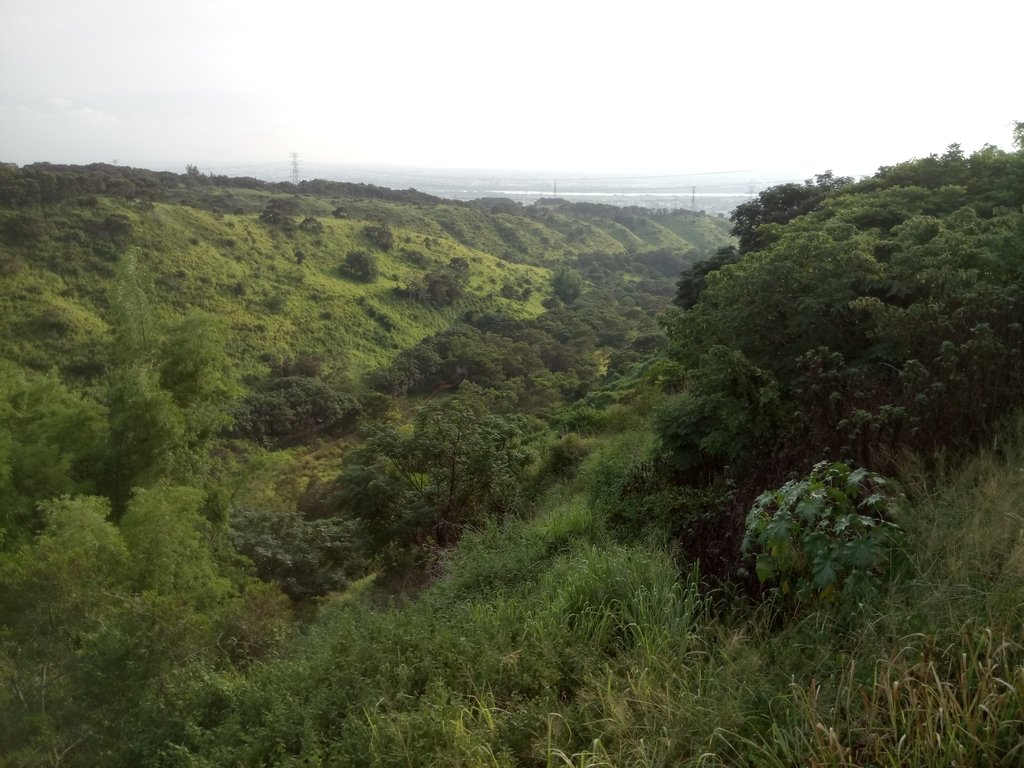 DSC_5812.JPG - 龍井  竹坑南寮登山步道