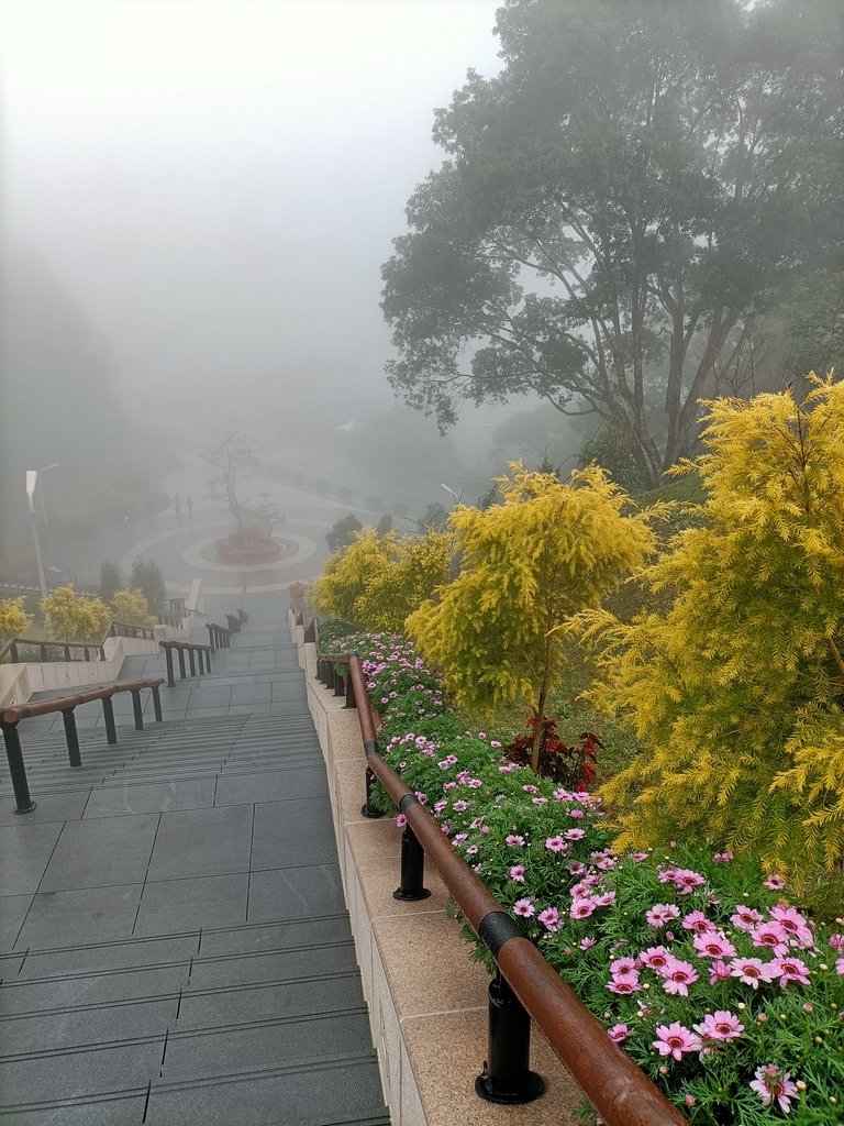 IMG20210108101710.jpg - 雲霧中的  梅山  太平雲梯