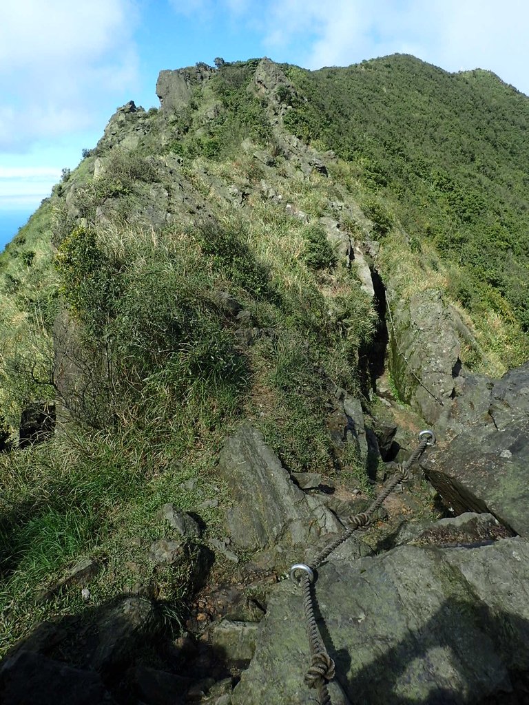 P1102328.JPG - 半坪山  無耳茶壺山