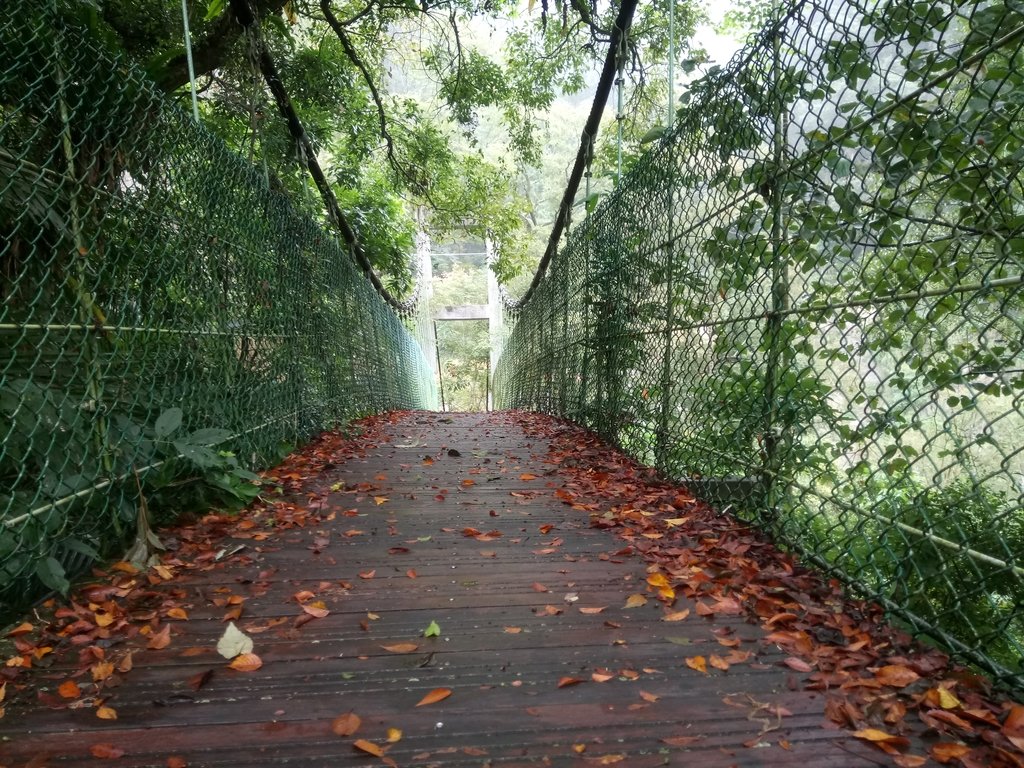 DSC_1164.JPG - 草嶺  蓬萊瀑布步道