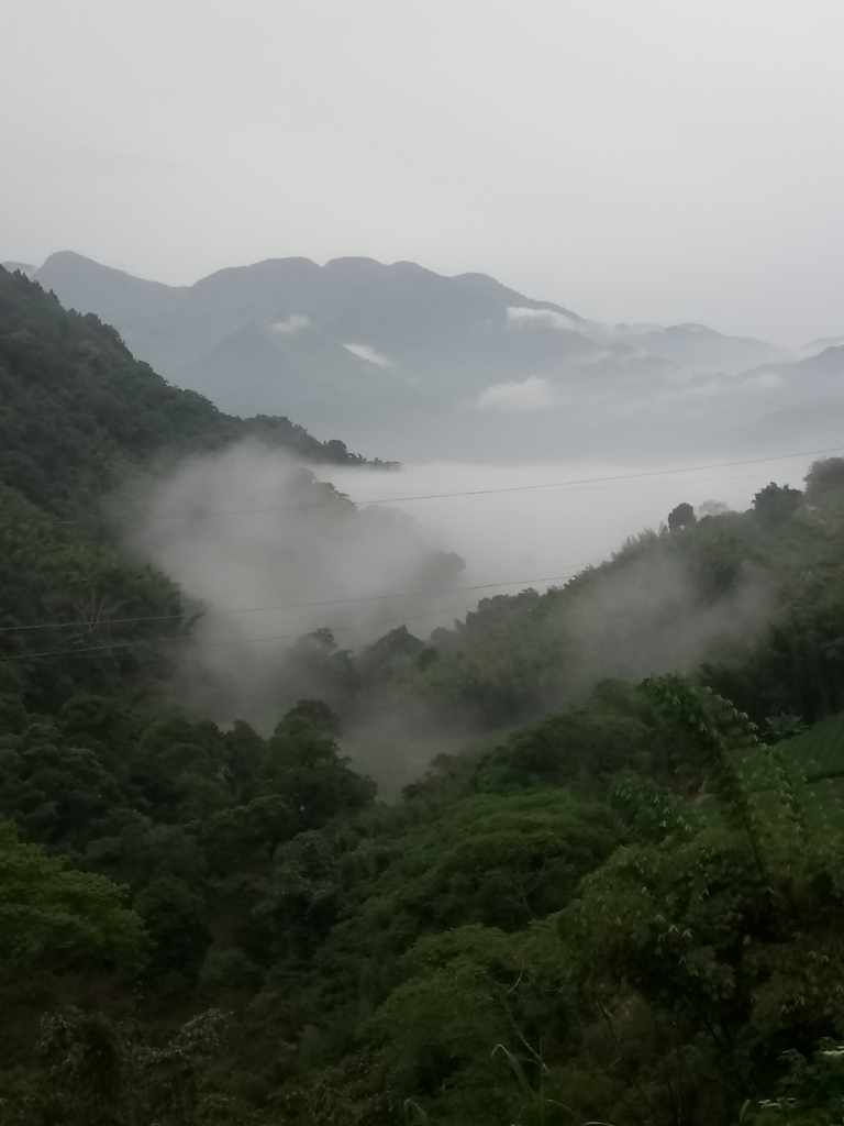 DSC_1378.JPG - 石壁途中之   茶山雲雨